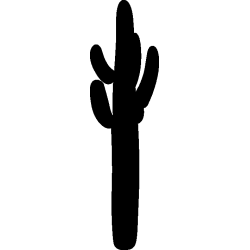 cactus 2