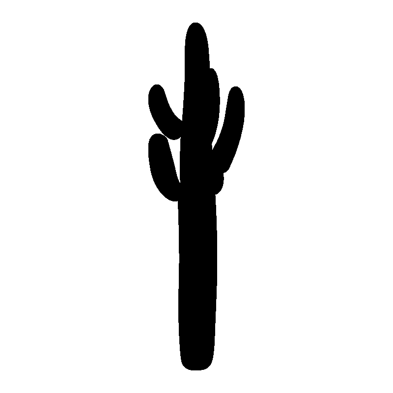 cactus 2