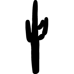 cactus 4
