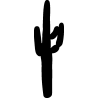 cactus 4