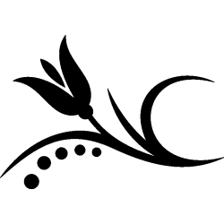 tulipe