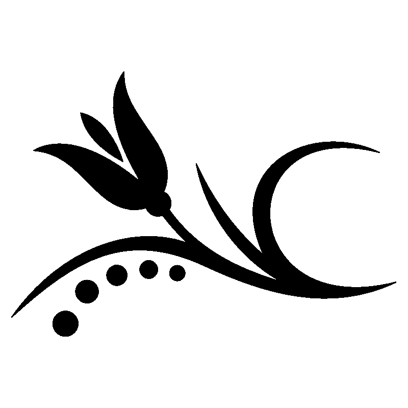 tulipe