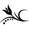 tulipe