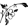 fleurs design