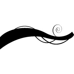 volute abstrait
