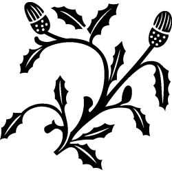 ornement