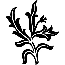ornement