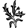 ornement
