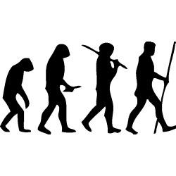 human