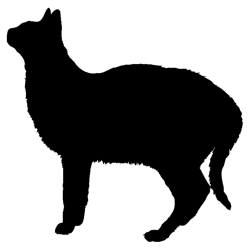 lama