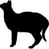 lama