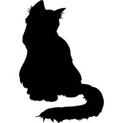chat1