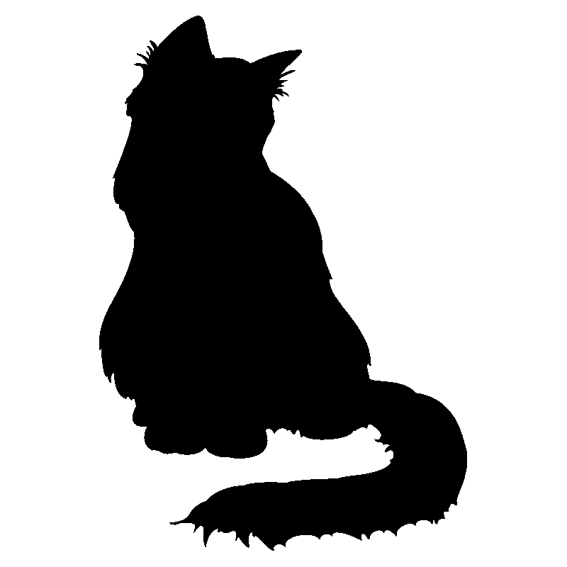 chat1