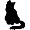 chat1