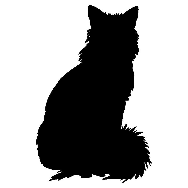 chat2