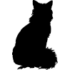 chat2