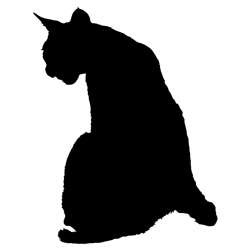 chat3