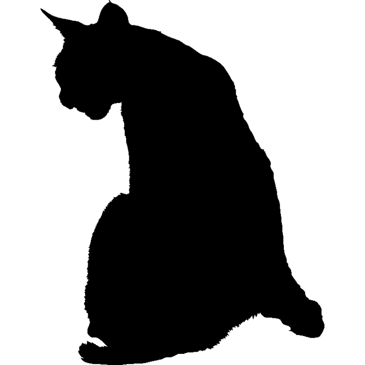 chat3