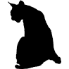 chat3