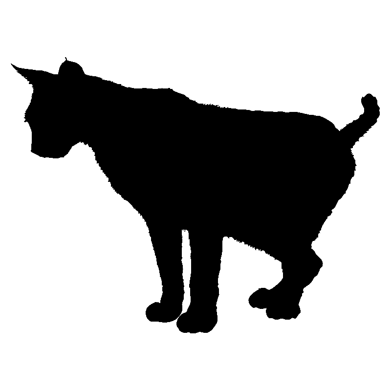chat4