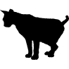 chat4