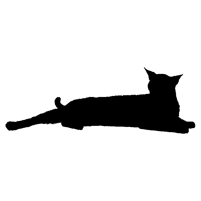 chat5