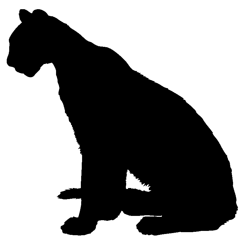 chat6