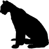 chat6