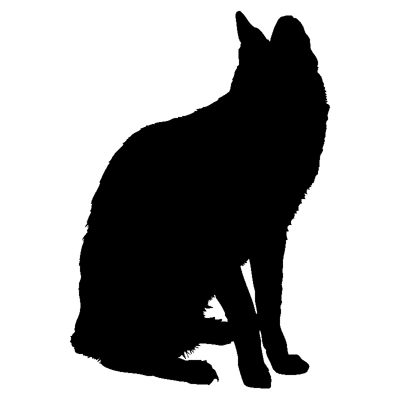 chat7