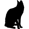 chat7