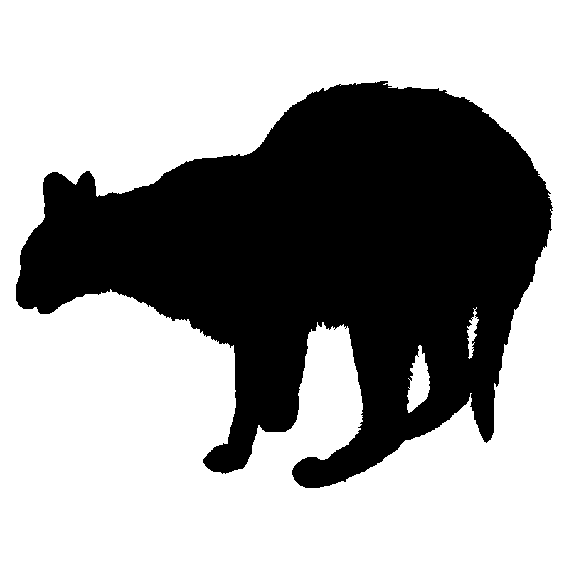 chat8