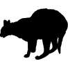 chat8