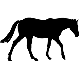 cheval1