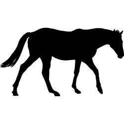 cheval1