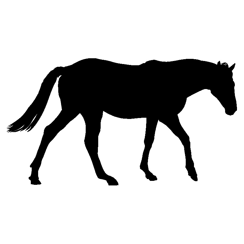 cheval1