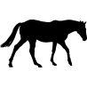 cheval1