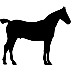 cheval2