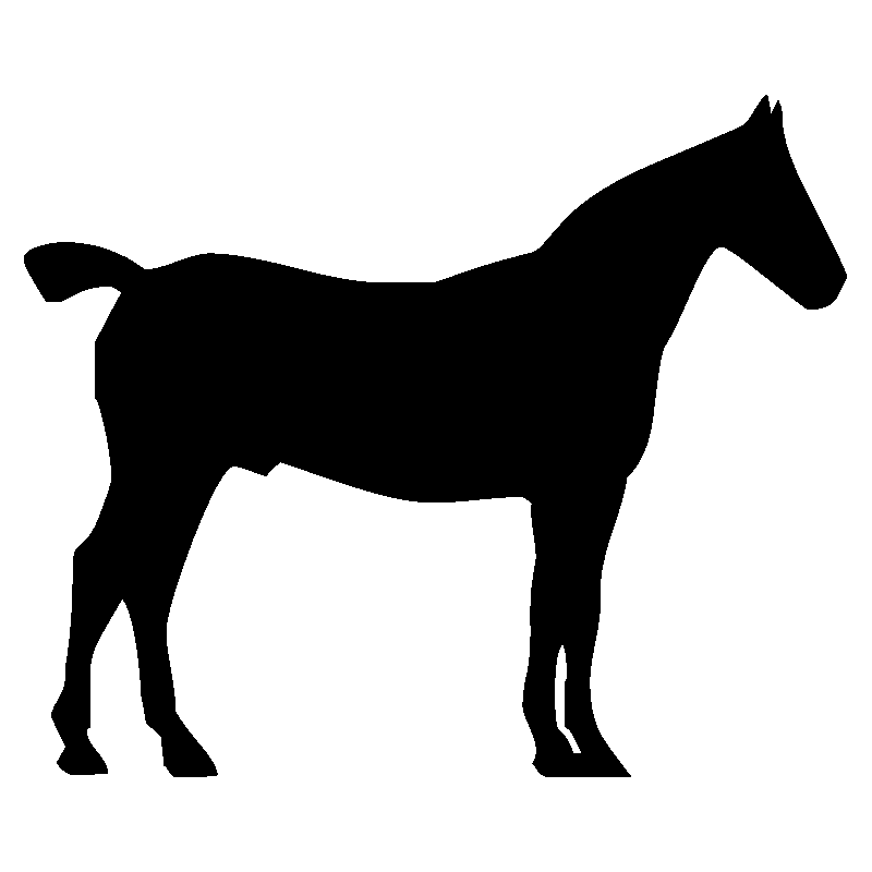 cheval2
