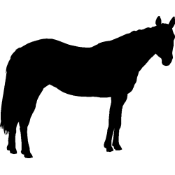 cheval2