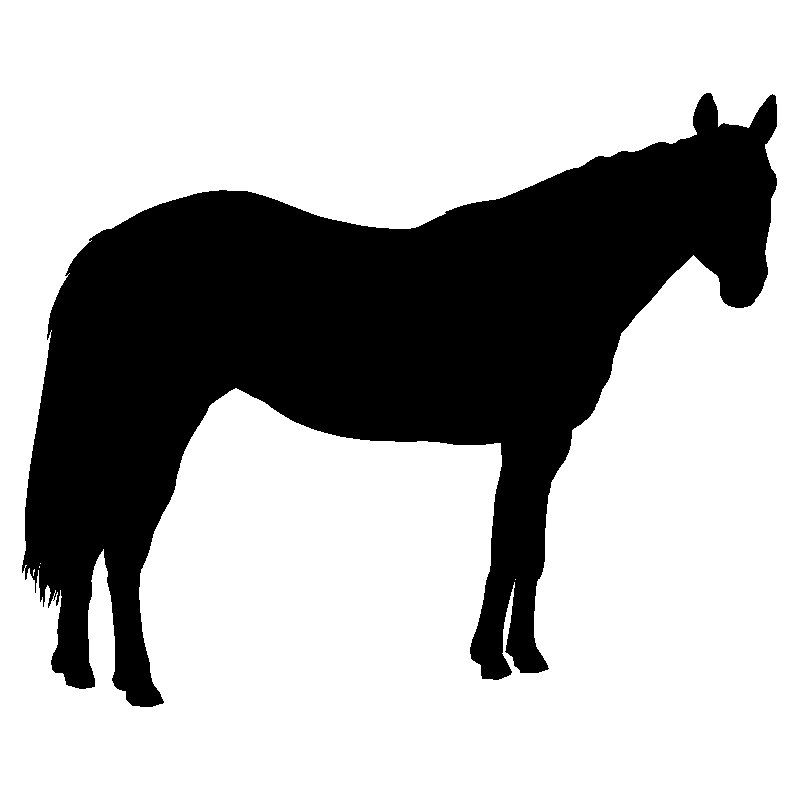 cheval2