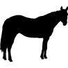 cheval2