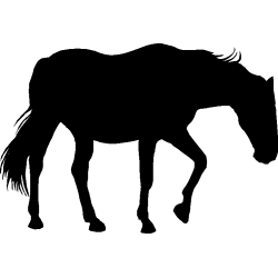 cheval3
