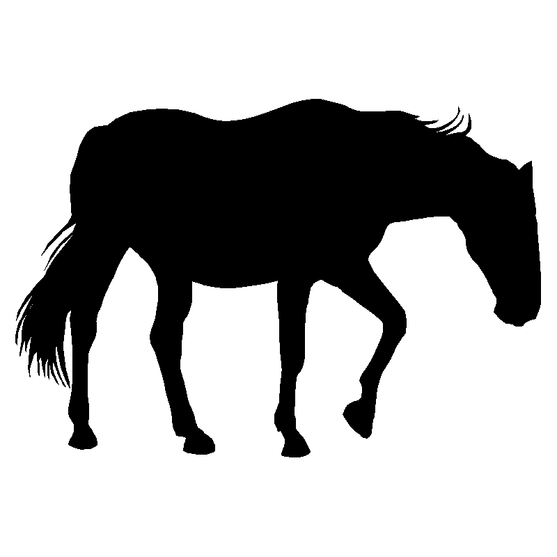 cheval3
