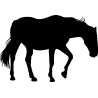 cheval3
