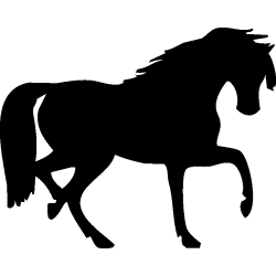 cheval3