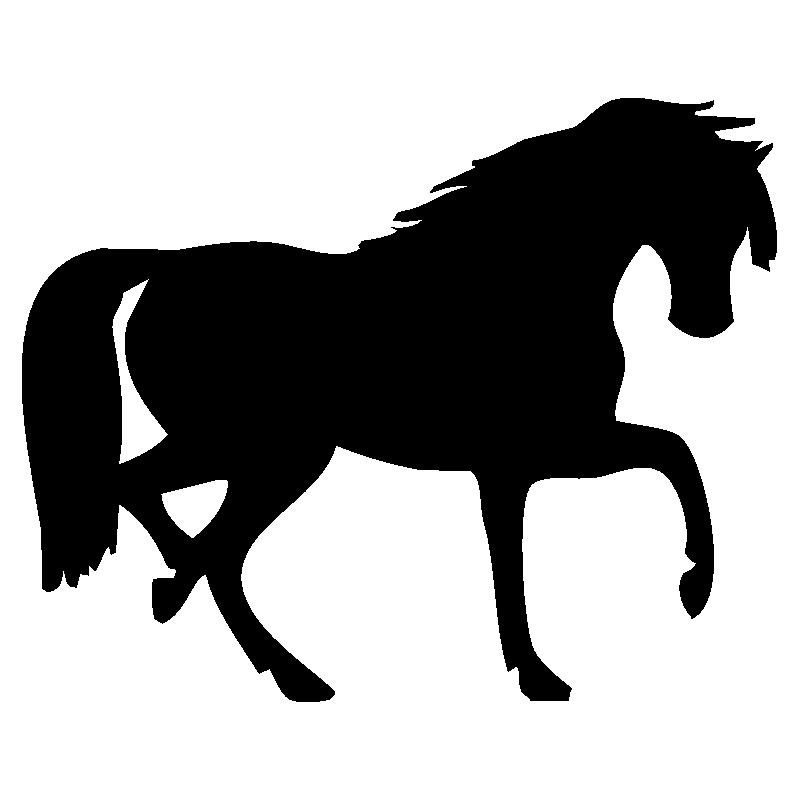 cheval3