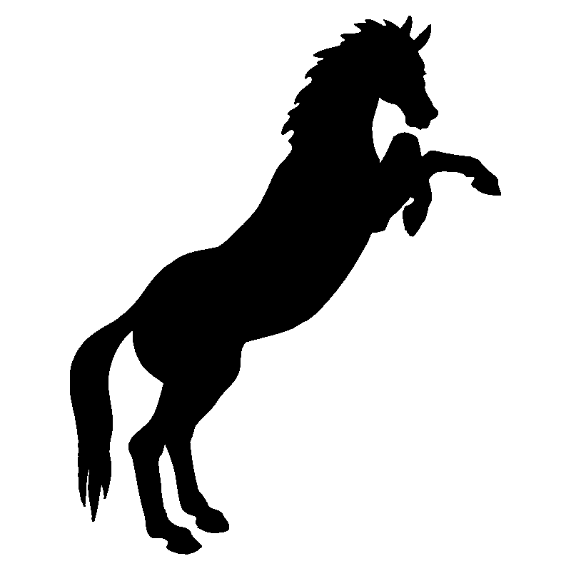 cheval4
