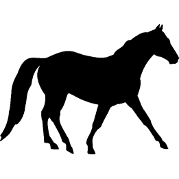 cheval4
