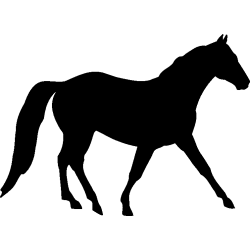 cheval4