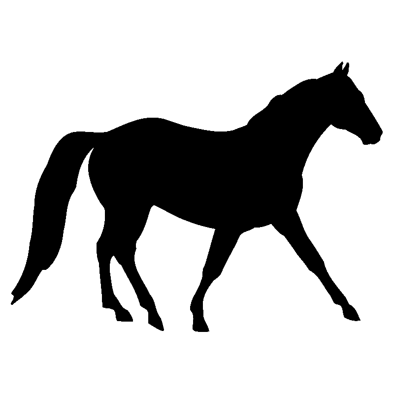 cheval4